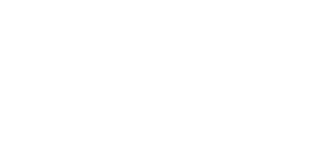 company-ace