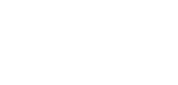 company-liwu